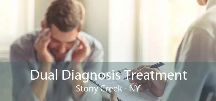 Dual Diagnosis Treatment Stony Creek - NY
