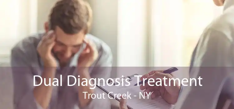 Dual Diagnosis Treatment Trout Creek - NY