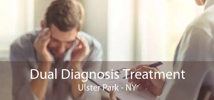 Dual Diagnosis Treatment Ulster Park - NY