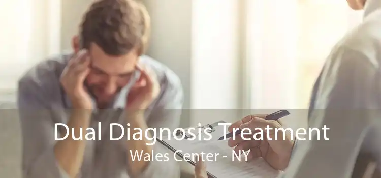 Dual Diagnosis Treatment Wales Center - NY