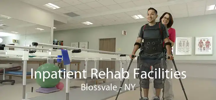 Inpatient Rehab Facilities Blossvale - NY