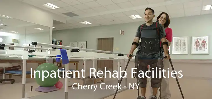 Inpatient Rehab Facilities Cherry Creek - NY