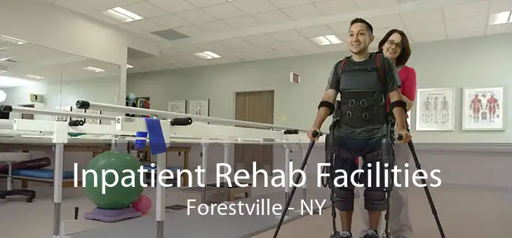 Inpatient Rehab Facilities Forestville - NY