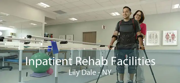 Inpatient Rehab Facilities Lily Dale - NY