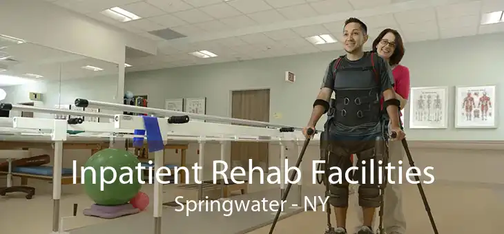 Inpatient Rehab Facilities Springwater - NY