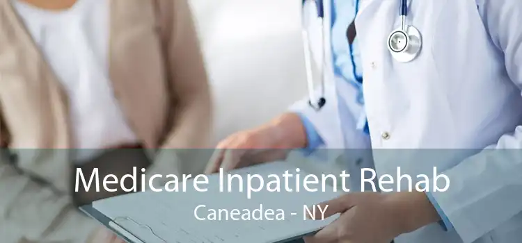 Medicare Inpatient Rehab Caneadea - NY