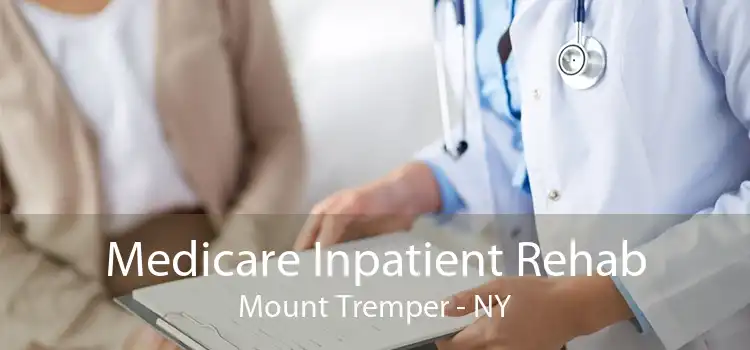Medicare Inpatient Rehab Mount Tremper - NY