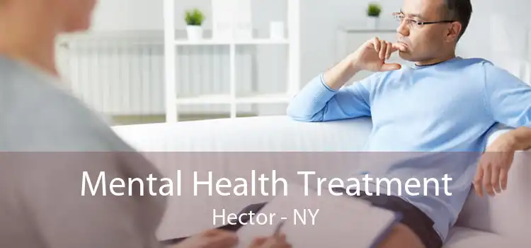 Mental Health Treatment Hector - NY