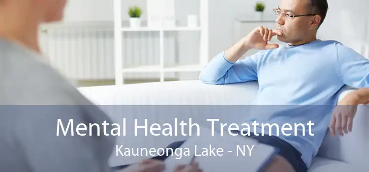 Mental Health Treatment Kauneonga Lake - NY