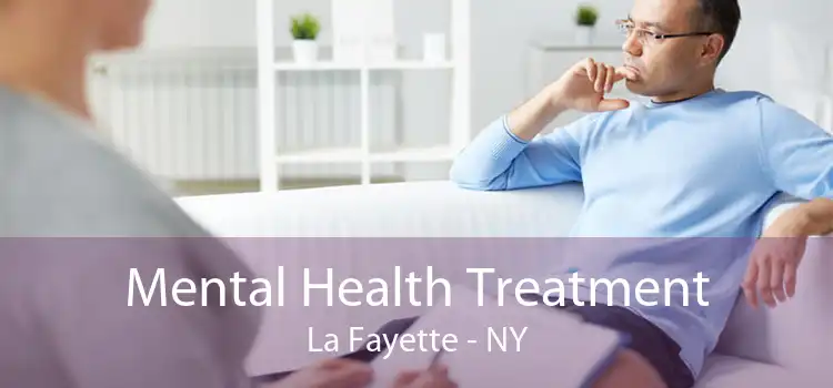 Mental Health Treatment La Fayette - NY