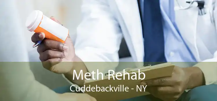 Meth Rehab Cuddebackville - NY