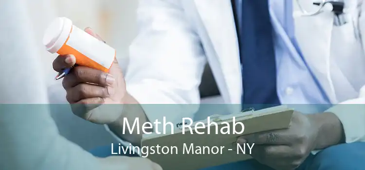 Meth Rehab Livingston Manor - NY