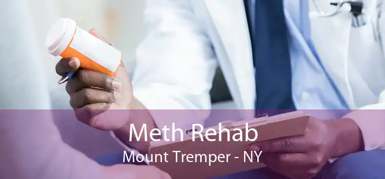 Meth Rehab Mount Tremper - NY