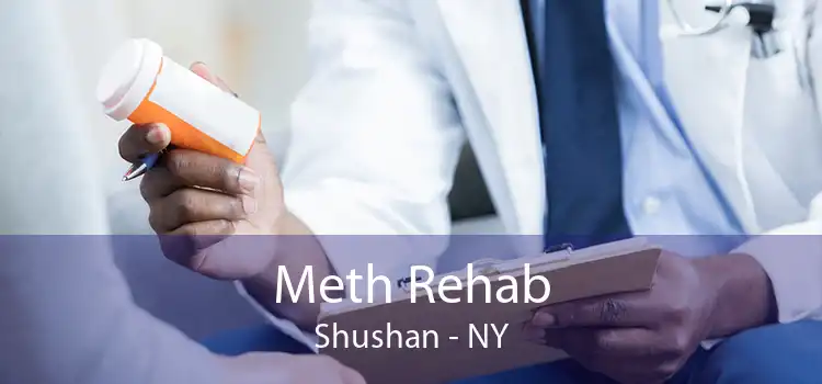 Meth Rehab Shushan - NY