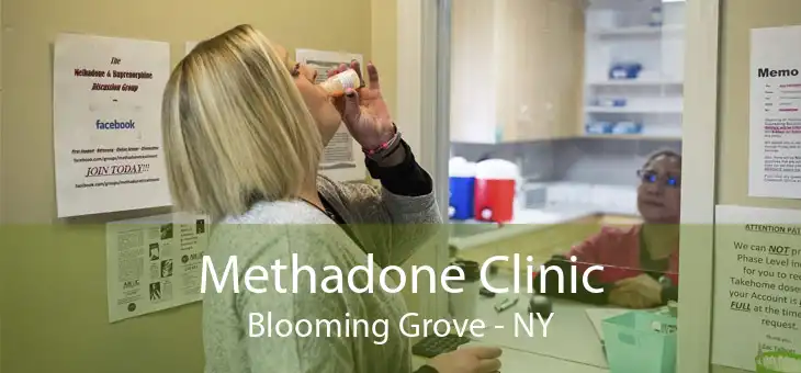 Methadone Clinic Blooming Grove - NY