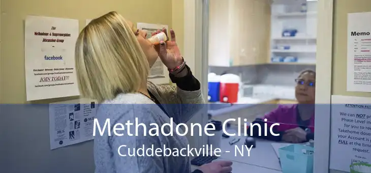 Methadone Clinic Cuddebackville - NY