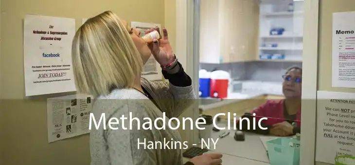 Methadone Clinic Hankins - NY