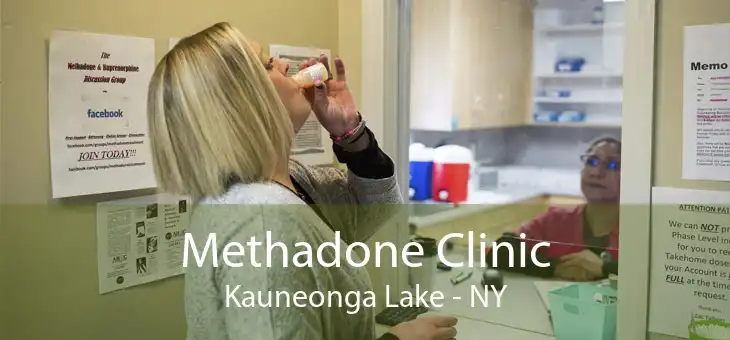 Methadone Clinic Kauneonga Lake - NY