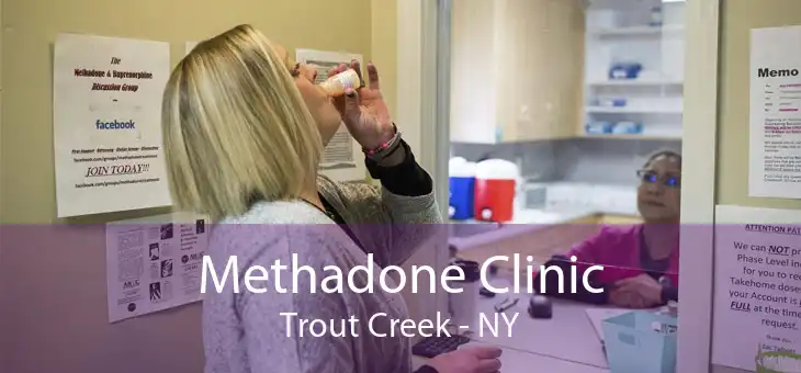 Methadone Clinic Trout Creek - NY