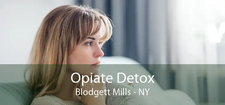 Opiate Detox Blodgett Mills - NY