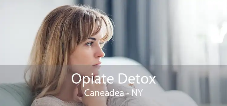 Opiate Detox Caneadea - NY