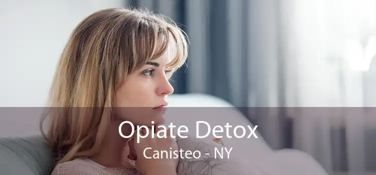 Opiate Detox Canisteo - NY