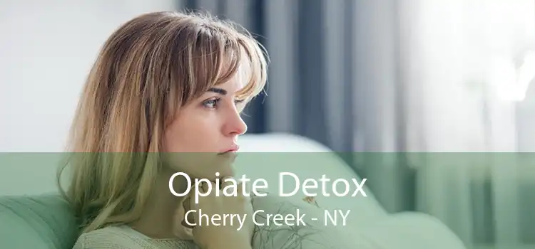Opiate Detox Cherry Creek - NY