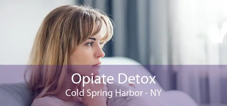 Opiate Detox Cold Spring Harbor - NY