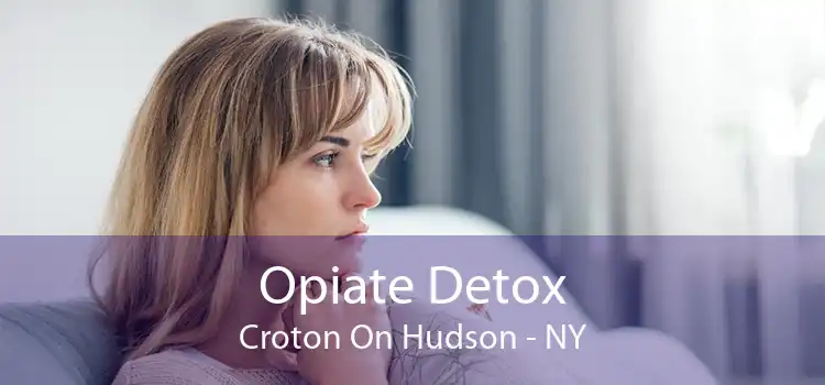 Opiate Detox Croton On Hudson - NY