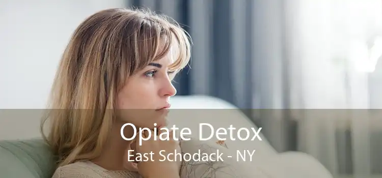 Opiate Detox East Schodack - NY