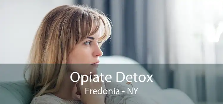 Opiate Detox Fredonia - NY