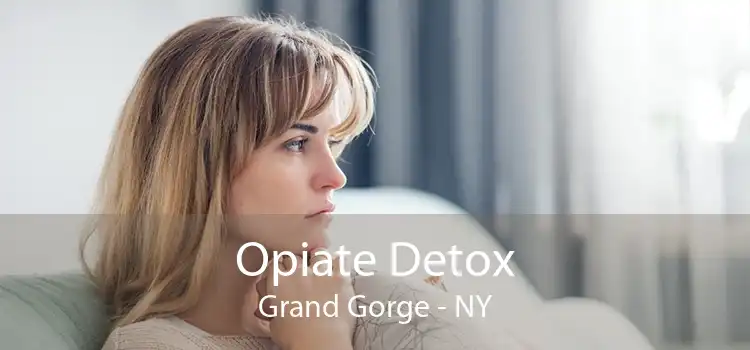Opiate Detox Grand Gorge - NY