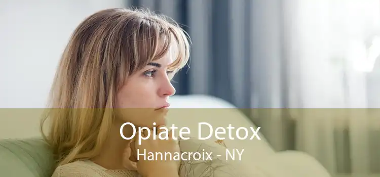 Opiate Detox Hannacroix - NY