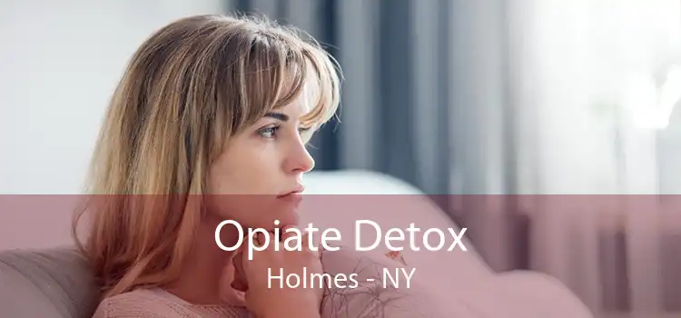 Opiate Detox Holmes - NY