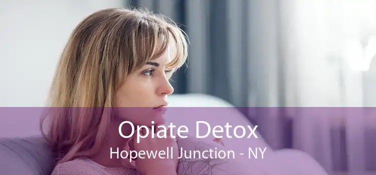 Opiate Detox Hopewell Junction - NY
