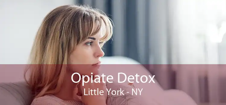 Opiate Detox Little York - NY