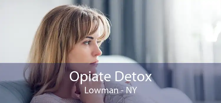 Opiate Detox Lowman - NY
