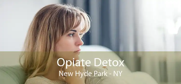 Opiate Detox New Hyde Park - NY