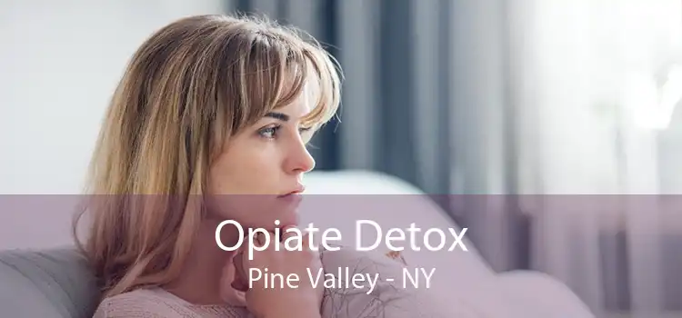 Opiate Detox Pine Valley - NY