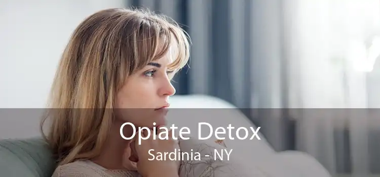 Opiate Detox Sardinia - NY
