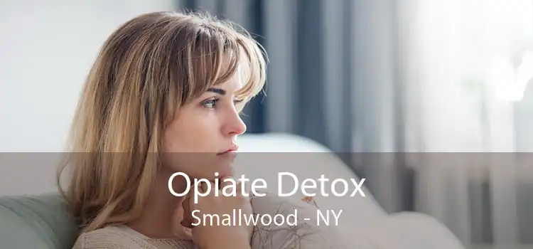 Opiate Detox Smallwood - NY