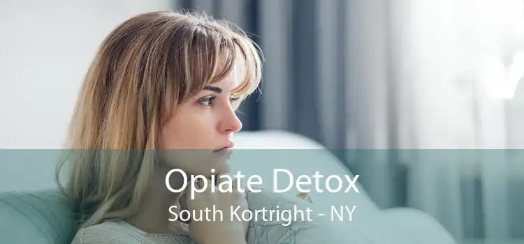 Opiate Detox South Kortright - NY