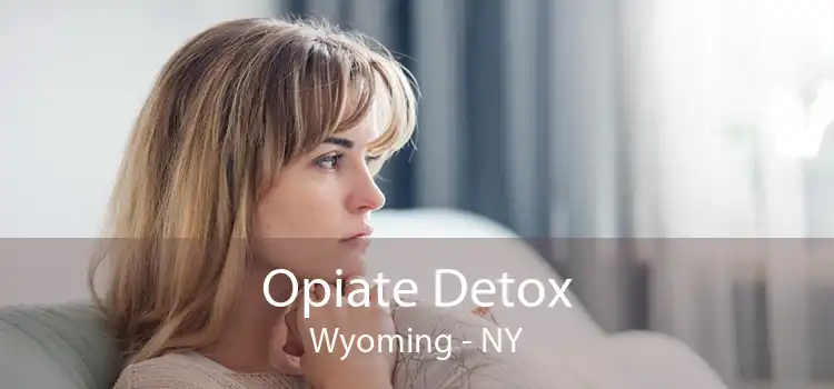 Opiate Detox Wyoming - NY
