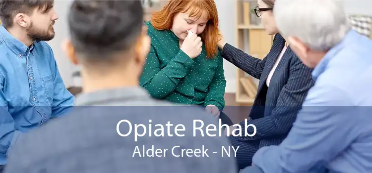 Opiate Rehab Alder Creek - NY