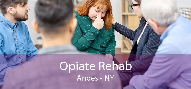 Opiate Rehab Andes - NY