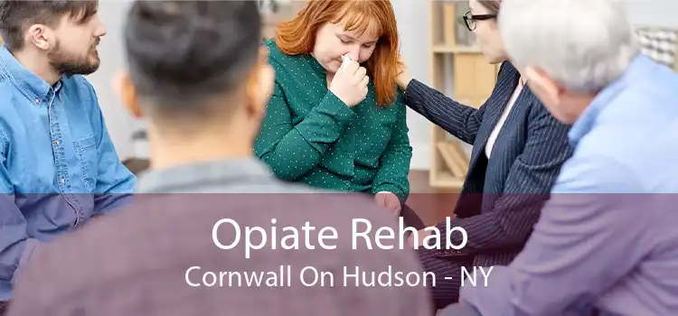 Opiate Rehab Cornwall On Hudson - NY