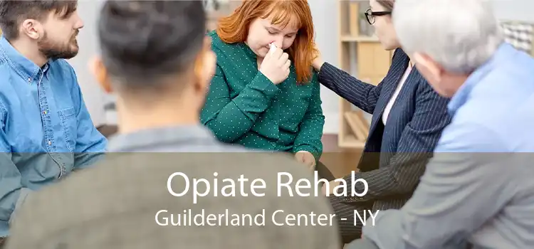 Opiate Rehab Guilderland Center - NY