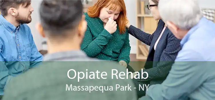 Opiate Rehab Massapequa Park - NY