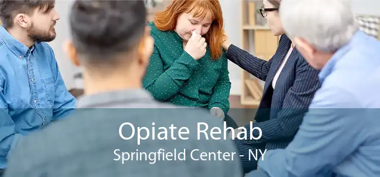 Opiate Rehab Springfield Center - NY