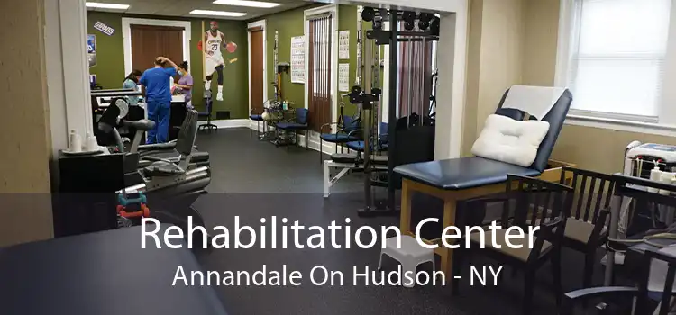 Rehabilitation Center Annandale On Hudson - NY